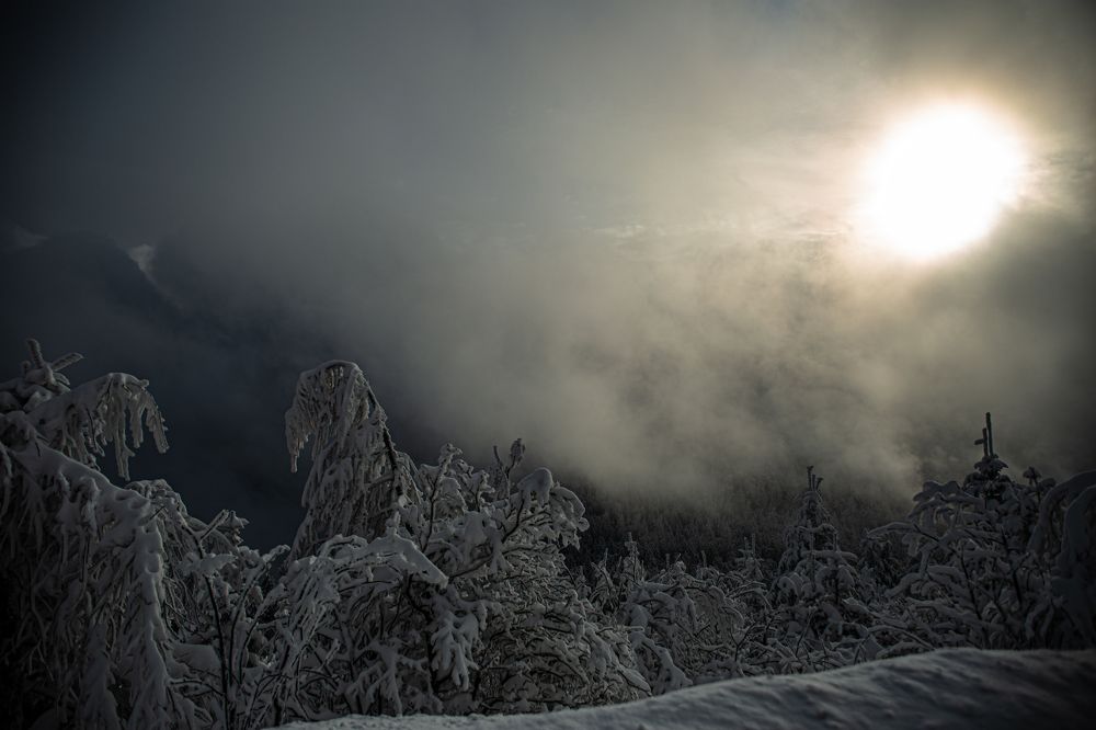 Photograph by Julia Kopassov