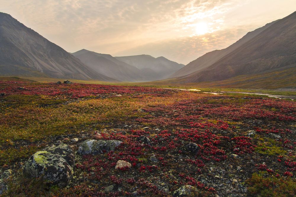 Photograph by Ирина Щеглова