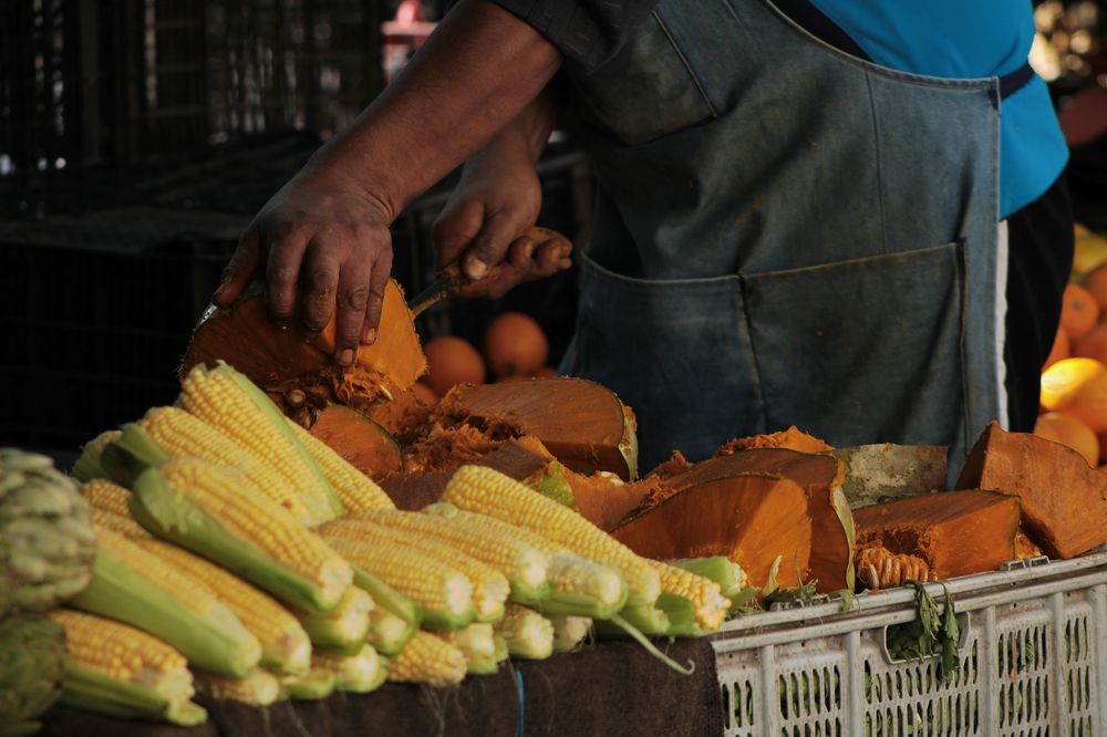 Photograph by Pablo López-Rojas
