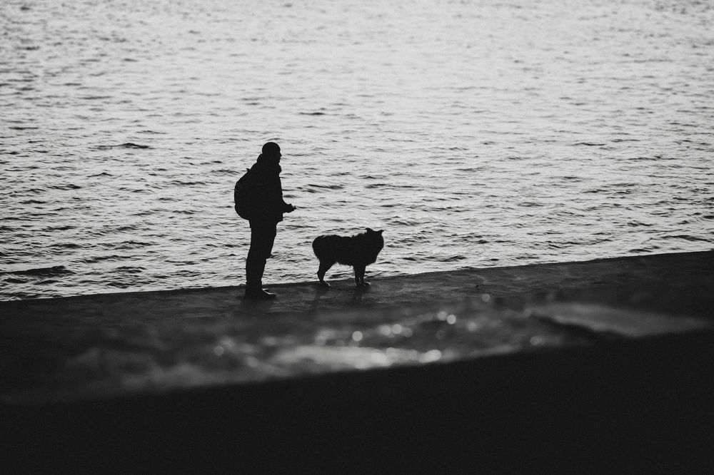 Photograph by Алексей Кибирев