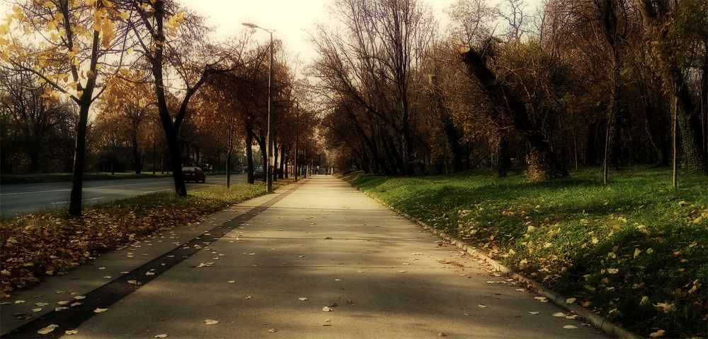 Photo #5563380