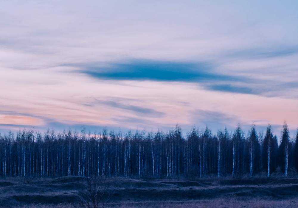 Photograph by Мария Королева