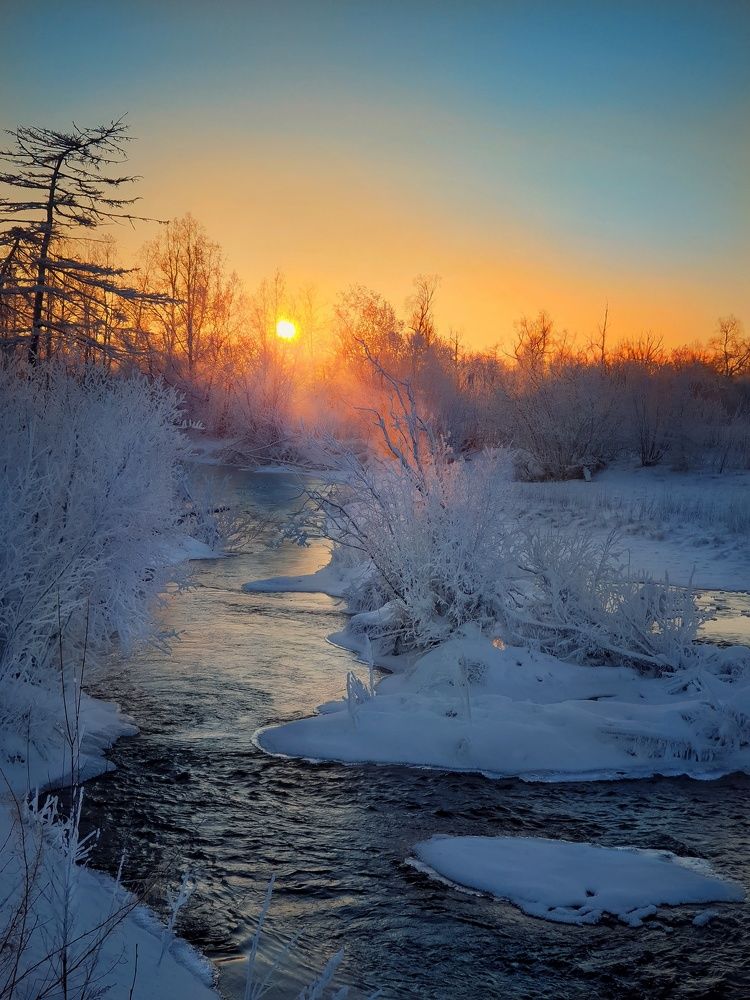 Photo #5563464