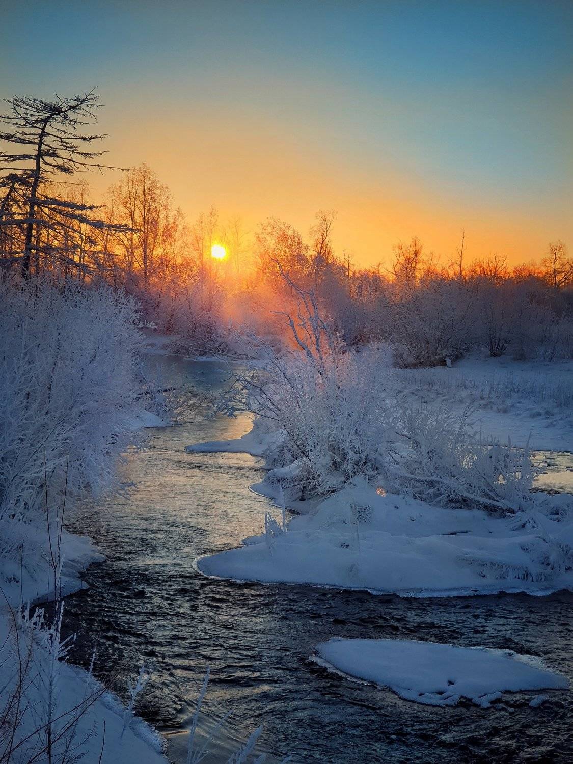 Photo #5563464
