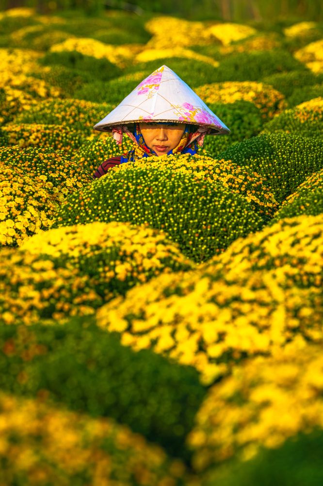 Photograph by Tran Phuong