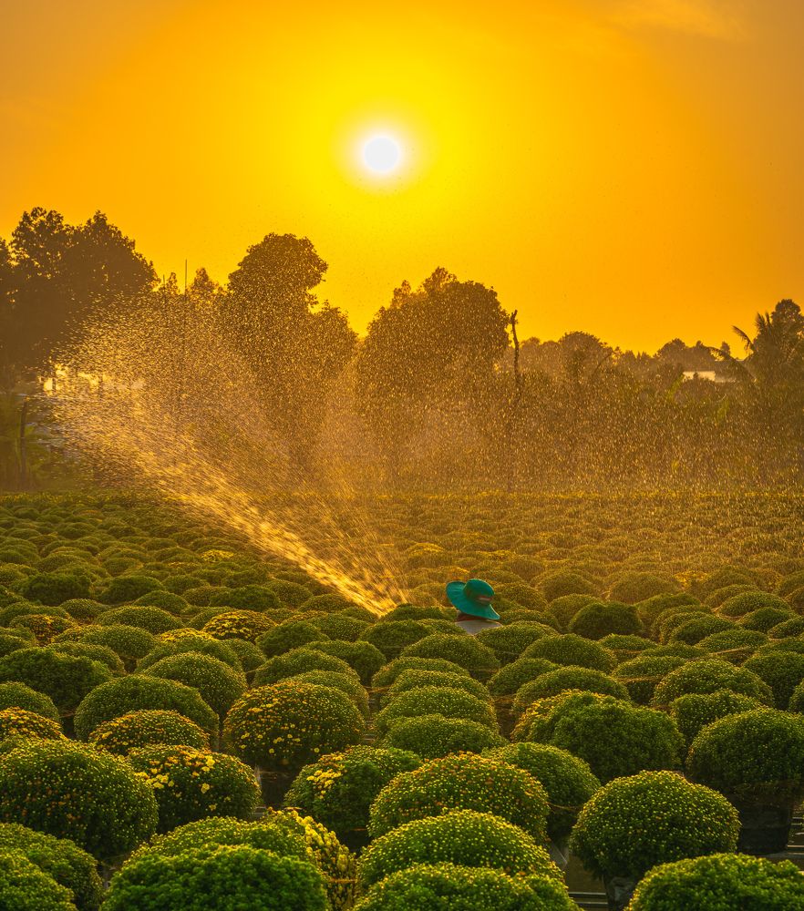 Photograph by Tran Phuong