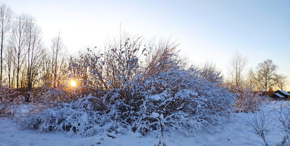 Зимняя окраина