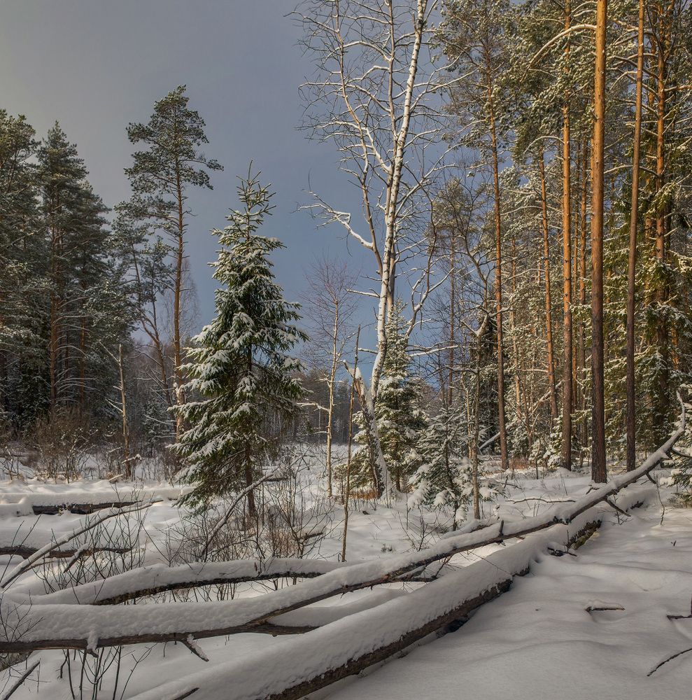 Photograph by Дмитрий Алексеев