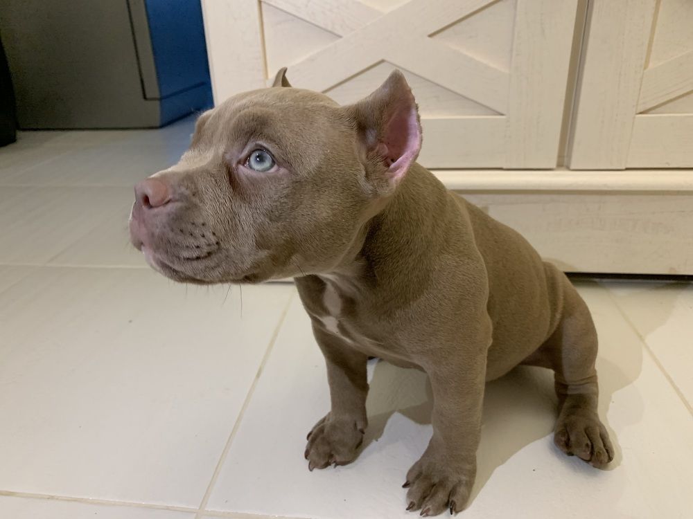 Photograph by Юлия Ляхова