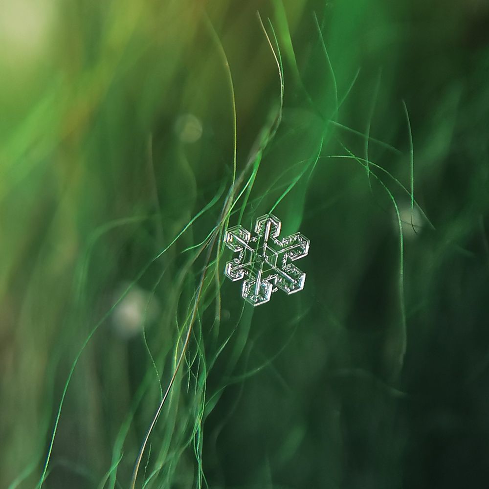 Photograph by Наталья