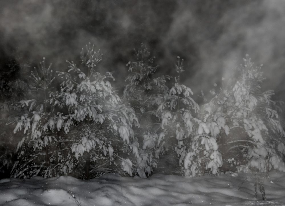 Фотография автора Сергей Барановский