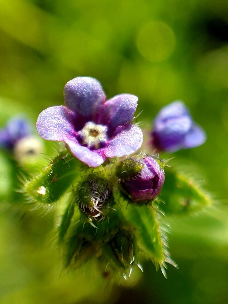 Photograph by Виталий Добрин