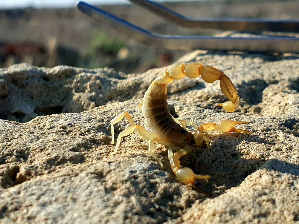 Photograph by Виталий Добрин