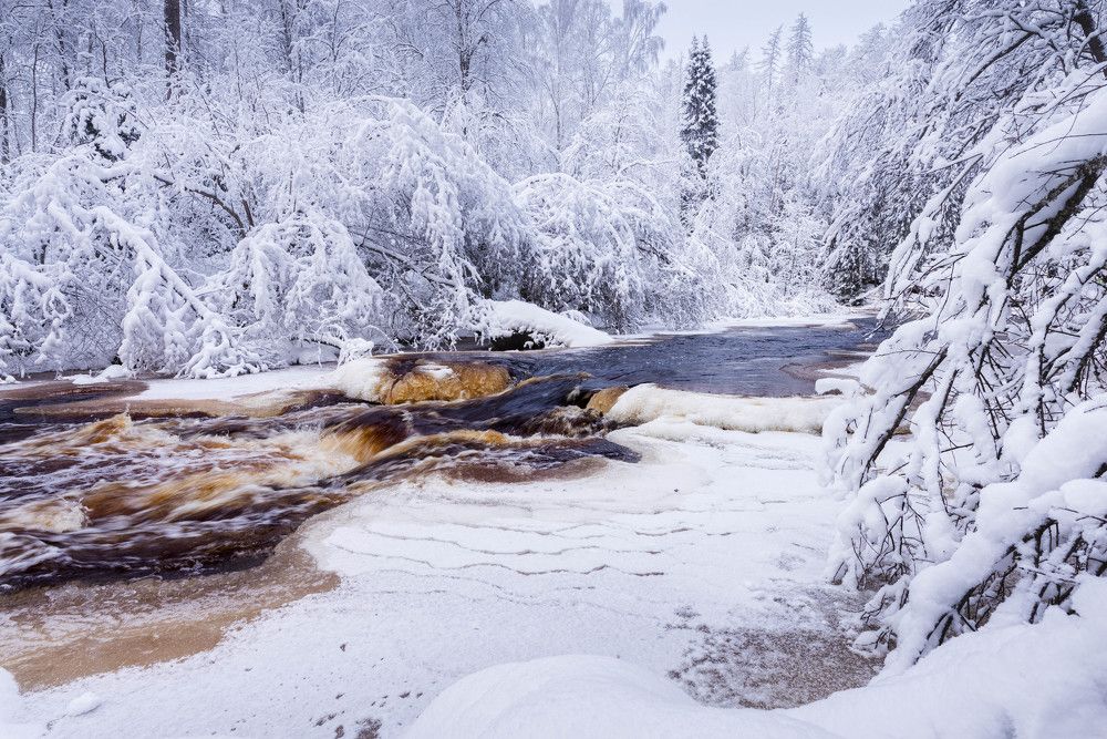 Photograph by Евгений Волосков