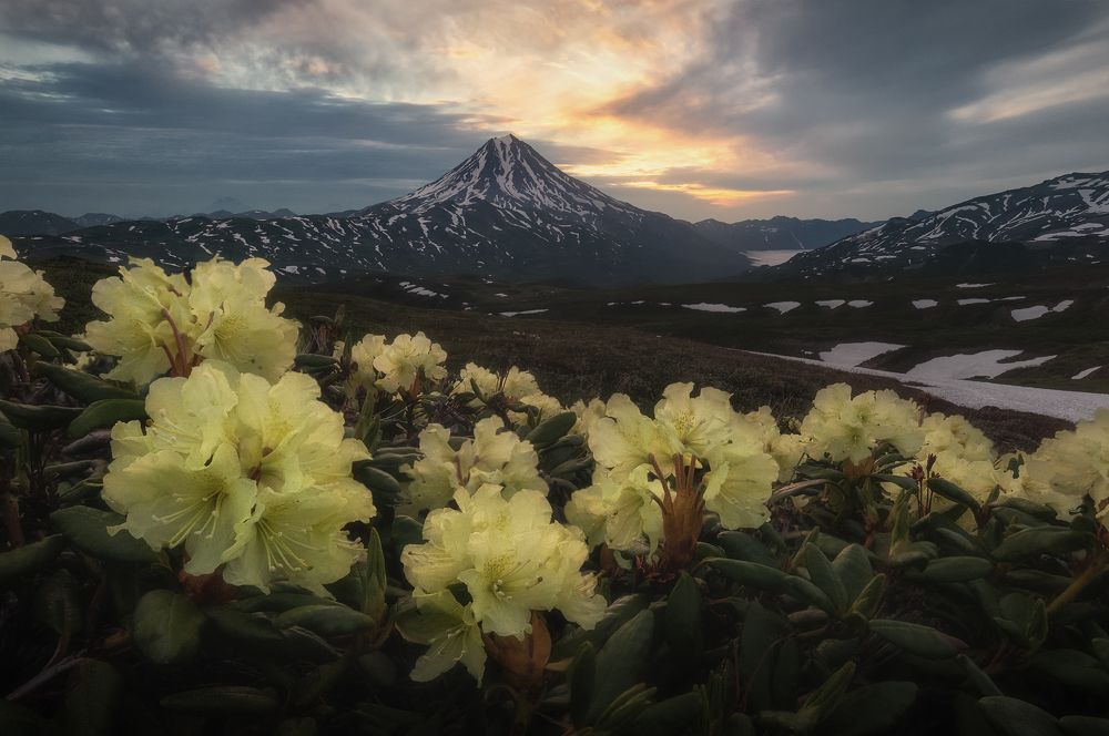 Photograph by Анна Политова