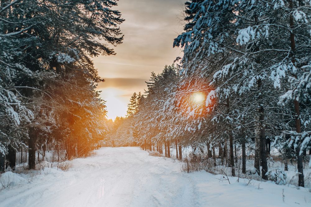 Photograph by Татьяна