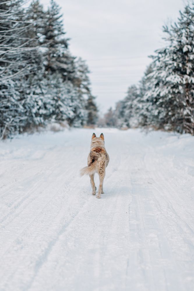 Photograph by Татьяна