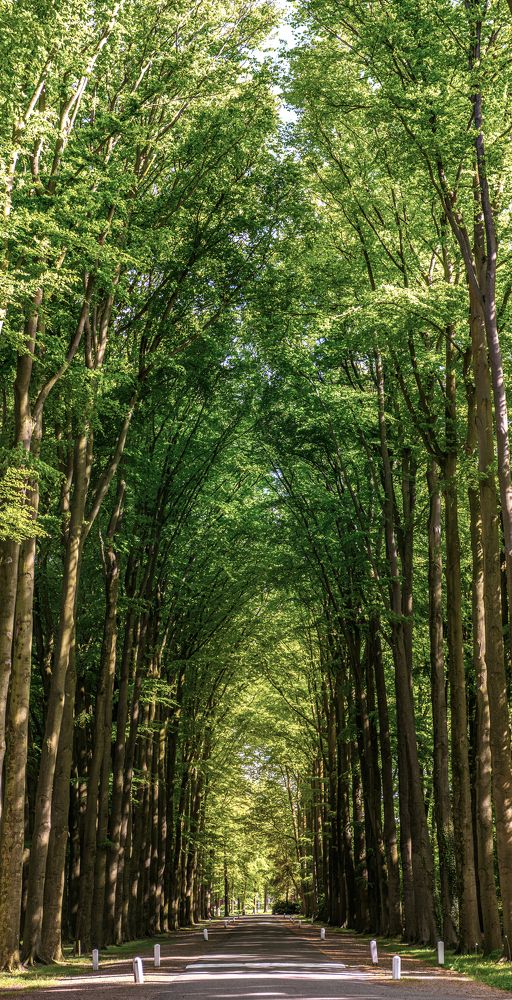 Photograph by Анатолий Асеев