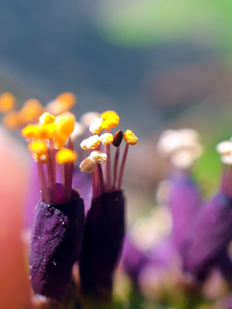 Photograph by Виталий Добрин