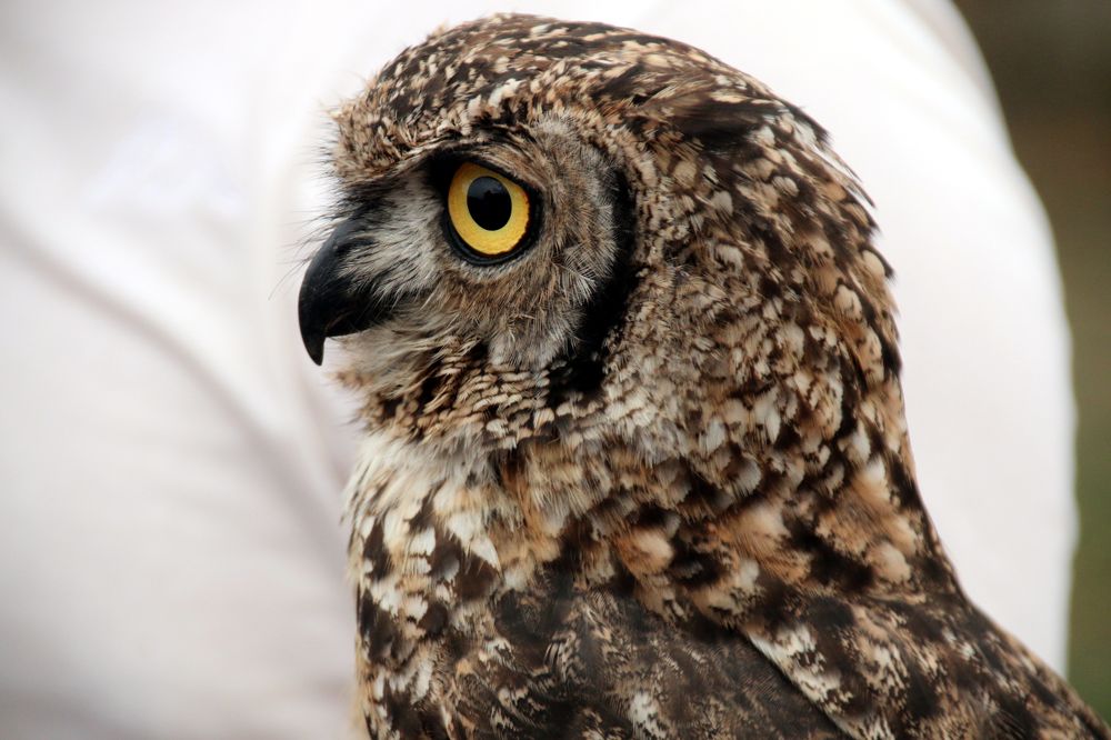 Photograph by Luana Popa