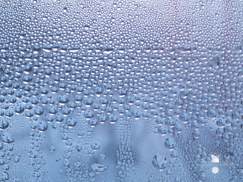 Photograph by Марина Хавронина