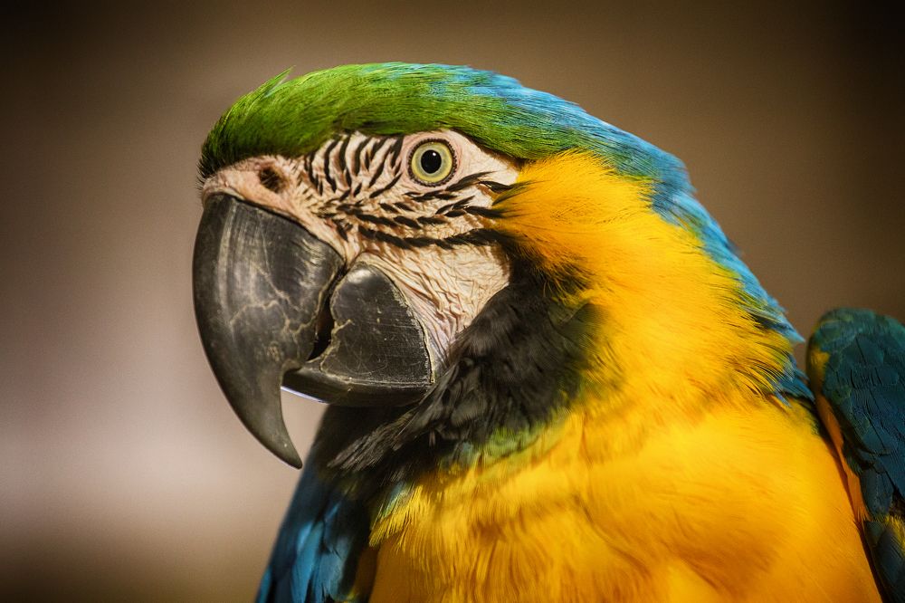 Photograph by Andrey Belov