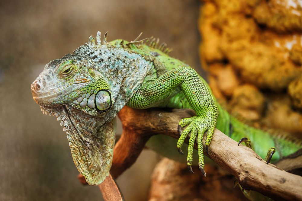 Photograph by Andrey Belov