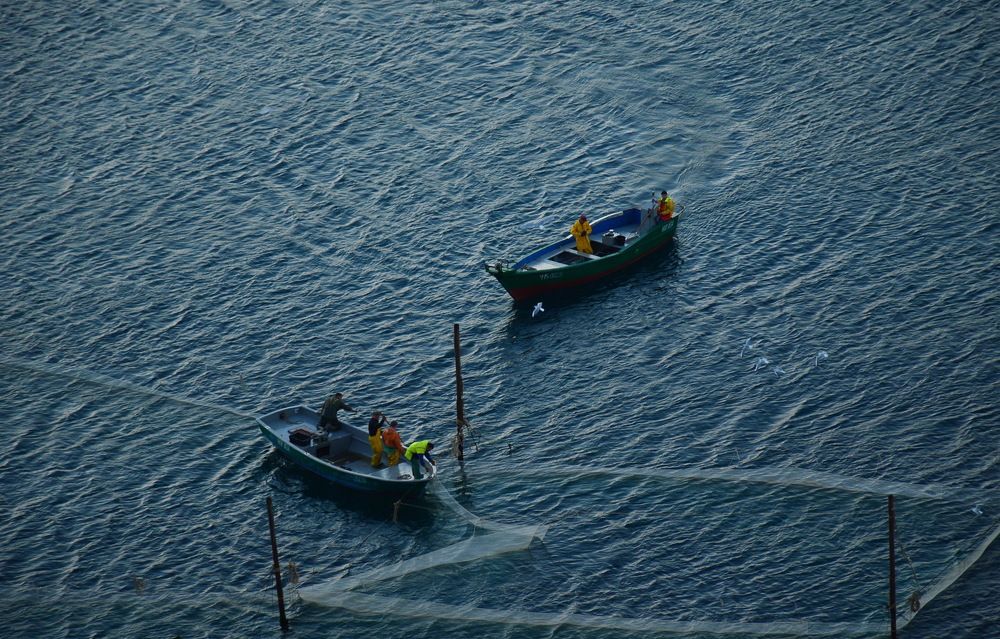 Photograph by Оксана Скорова