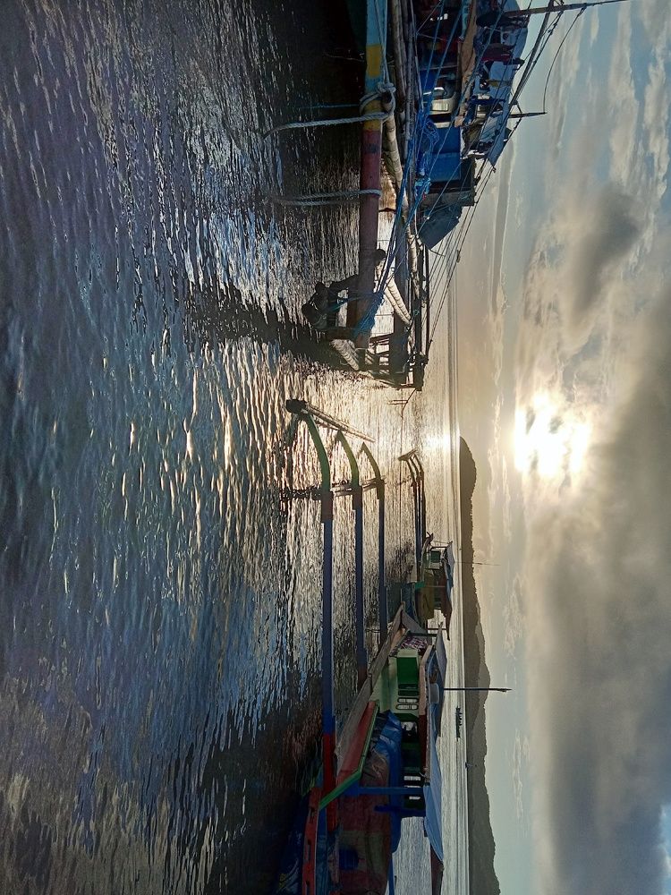 Photo #5563893