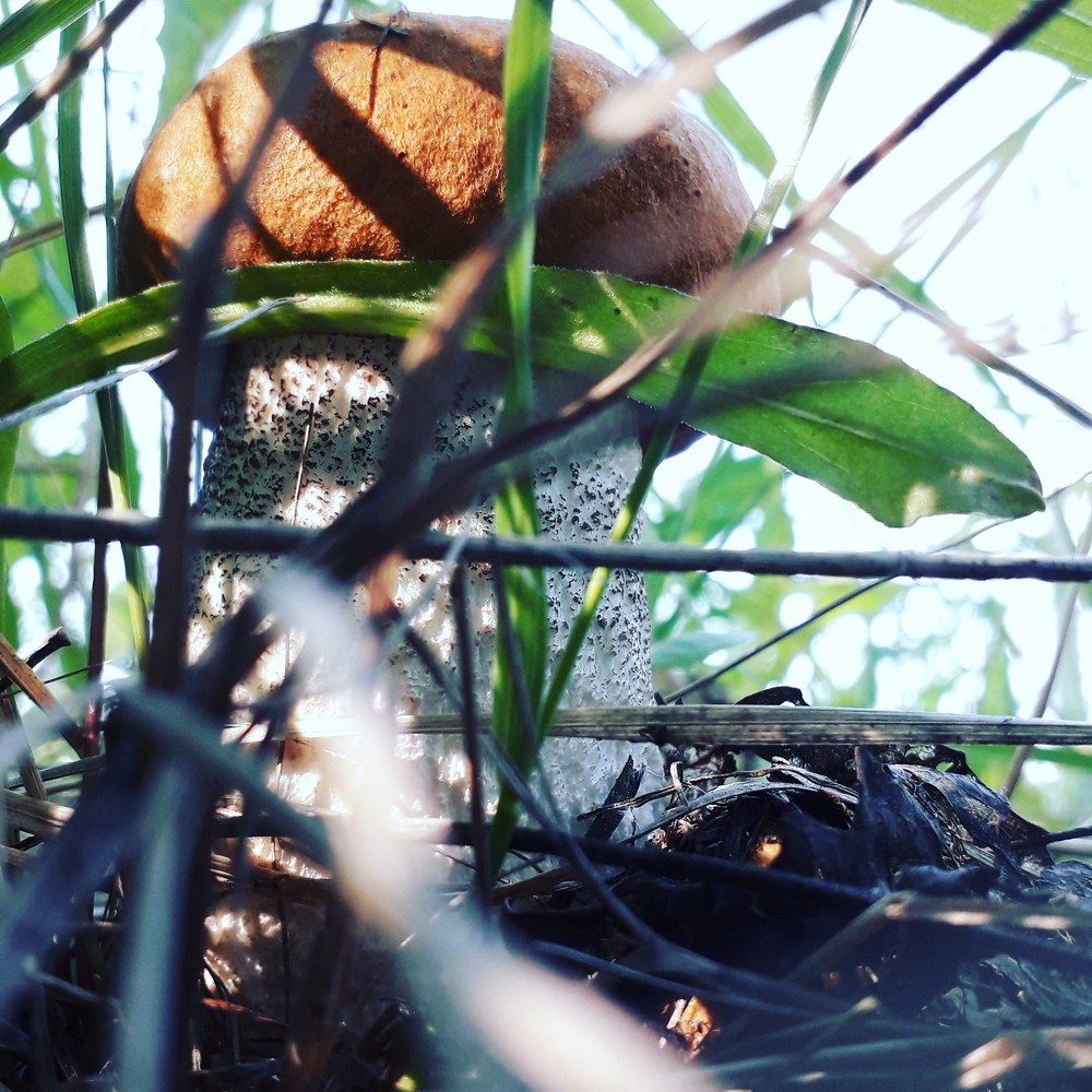 Photograph by Дмитрий Юдин