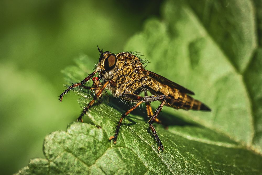 Photograph by Александр Казак