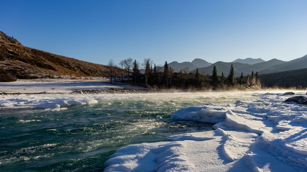 Фотография автора Елена Сова