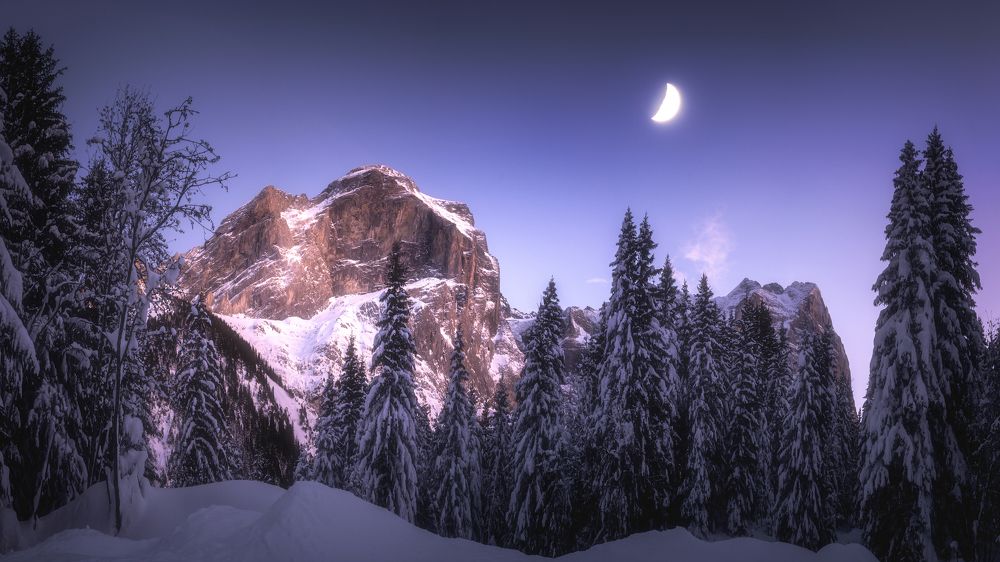 Photograph by Dominik Gugerli