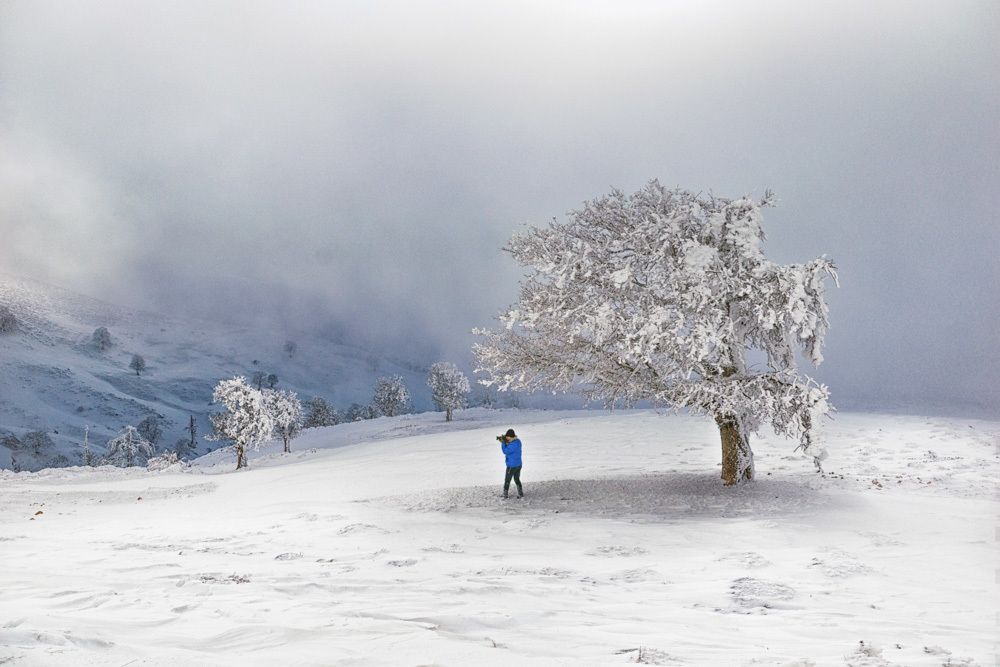 Photograph by Mohammad ATAEI