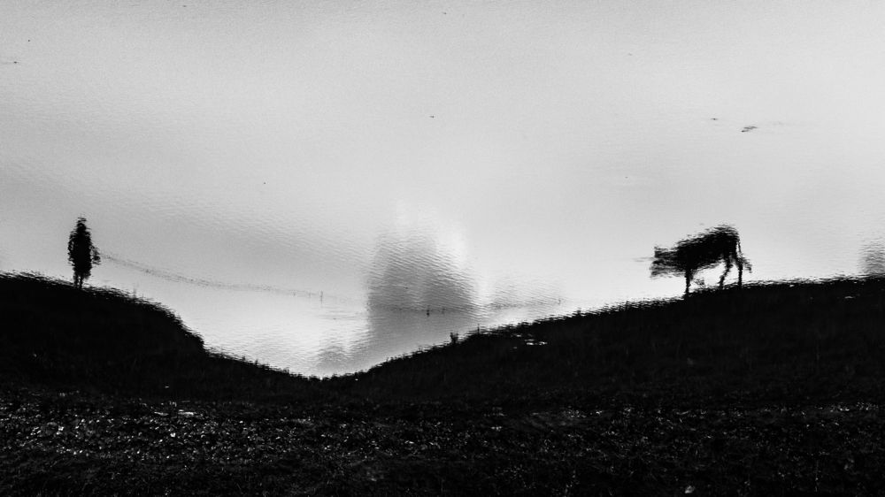 Photograph by Biswajit Kalita