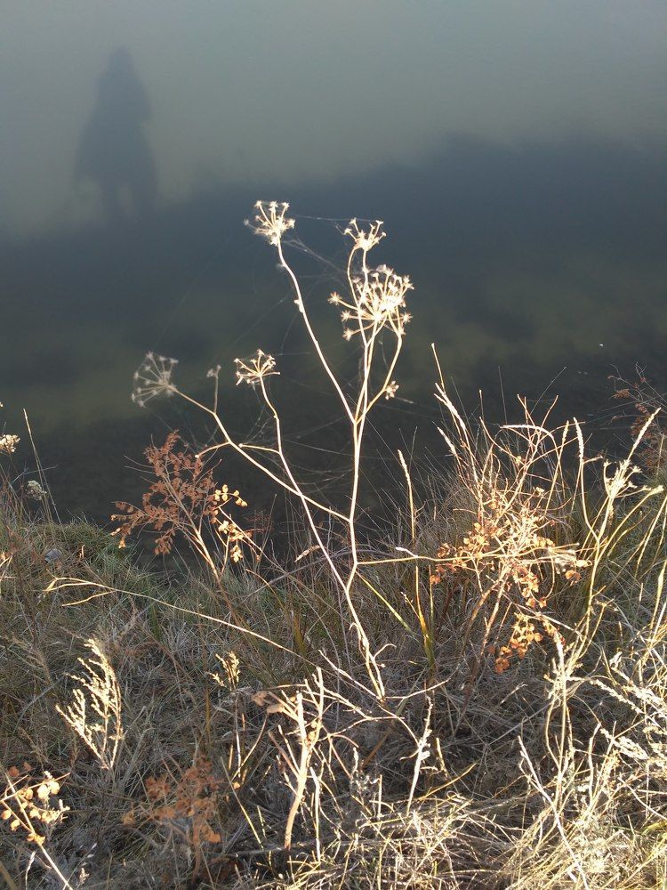 Photograph by Нурия Бикинеева