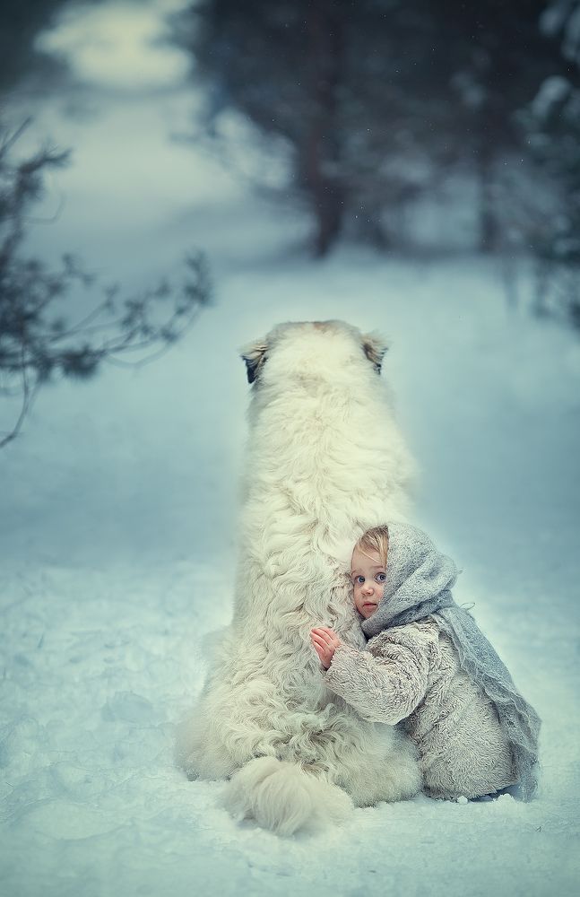 Фотография автора алексей брест
