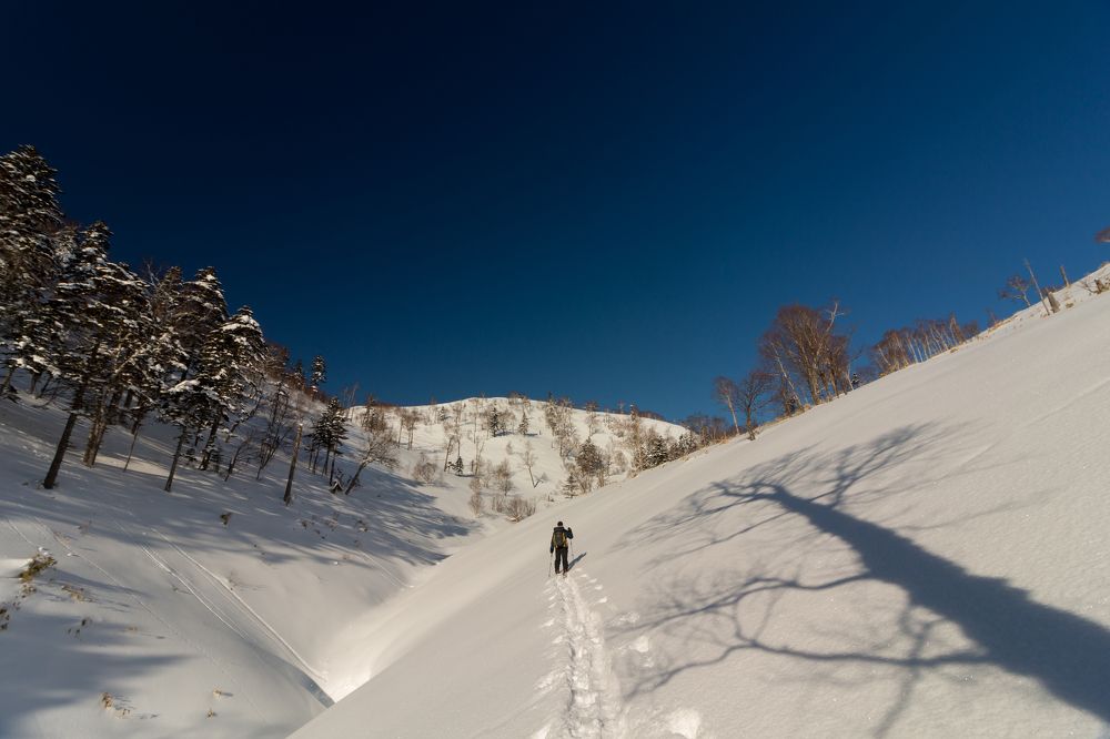 Photograph by Шиповалов Роман