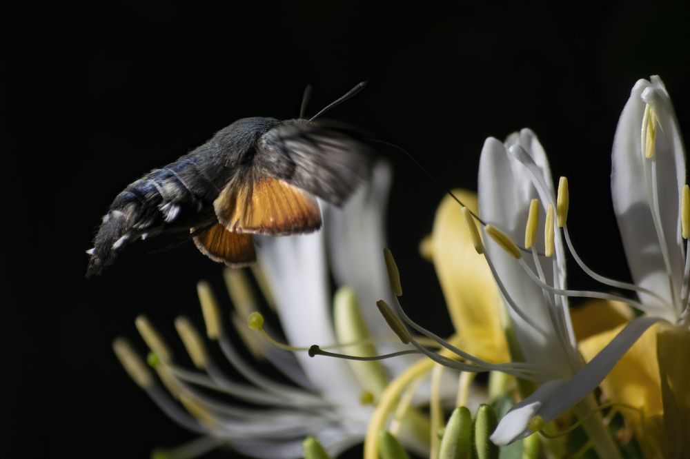 Photograph by Djordje Filipovic