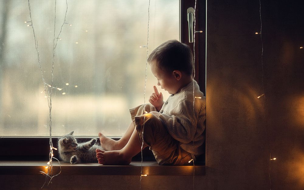 Фотография автора алексей брест