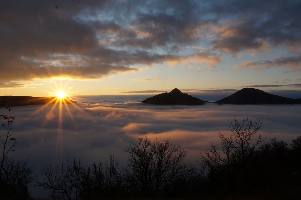 Photograph by света хлевненко