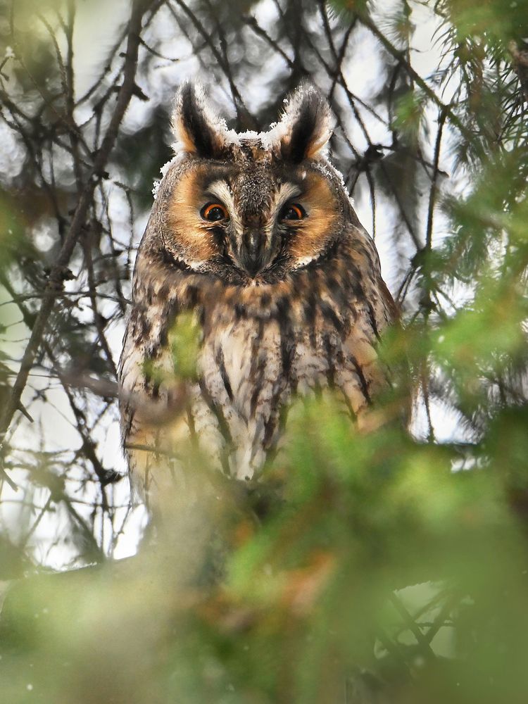 Photograph by Чернобай Анна