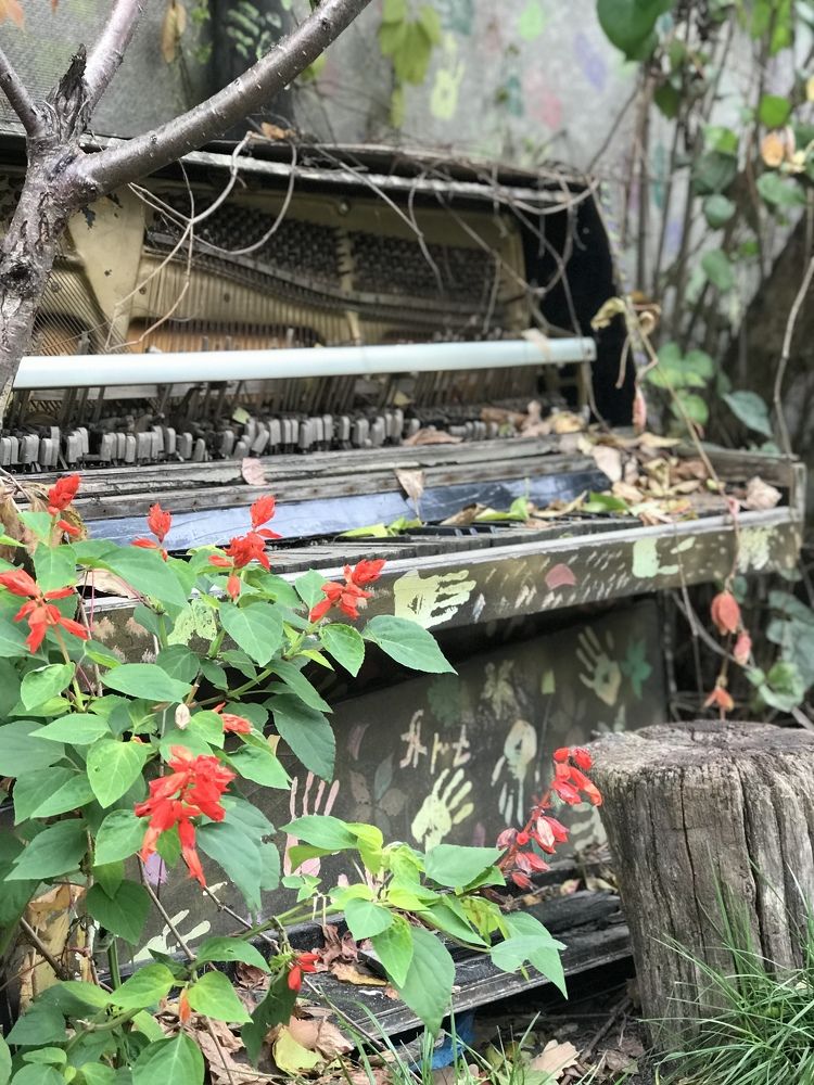 Photograph by Ольга Добреля