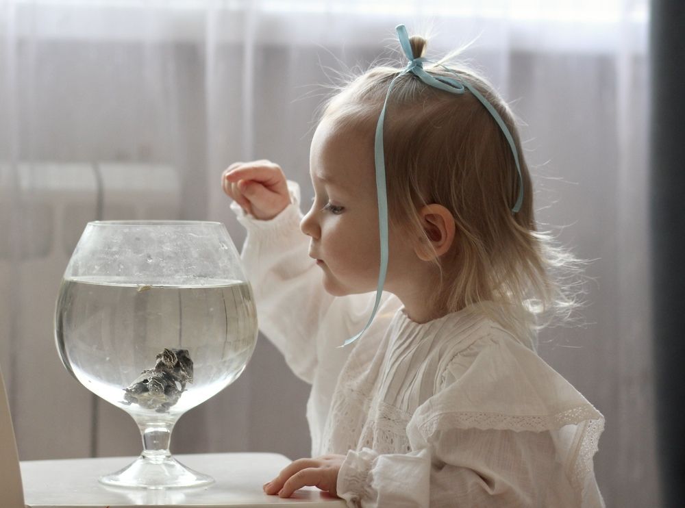 Photograph by Анастасия Барышева