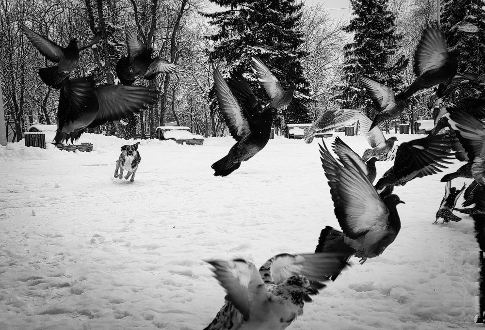 Photograph by Лидия Самойлова