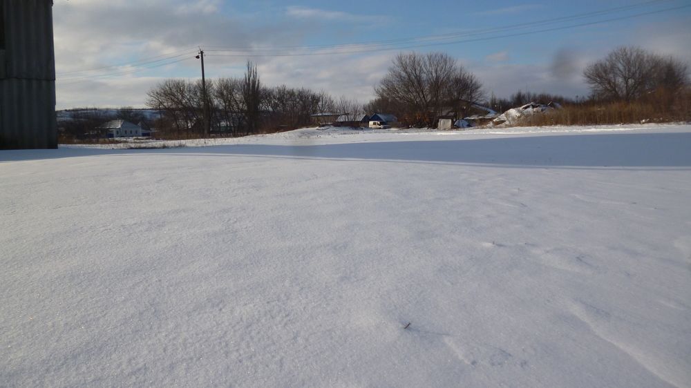 Photo #5564361