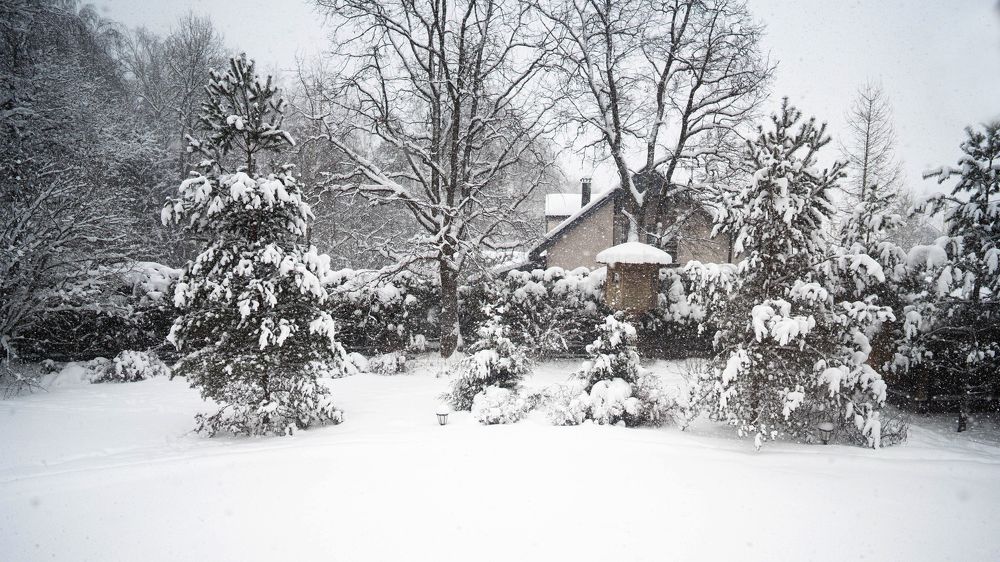 Photograph by Максим Корнаков