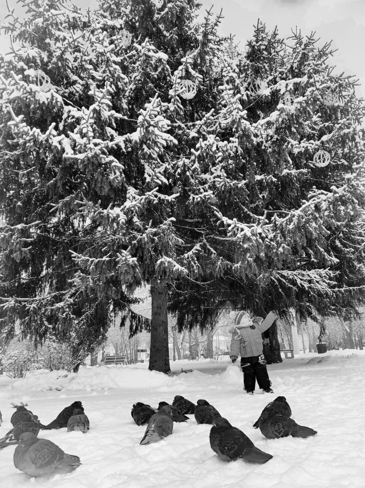 Photograph by Лидия Самойлова