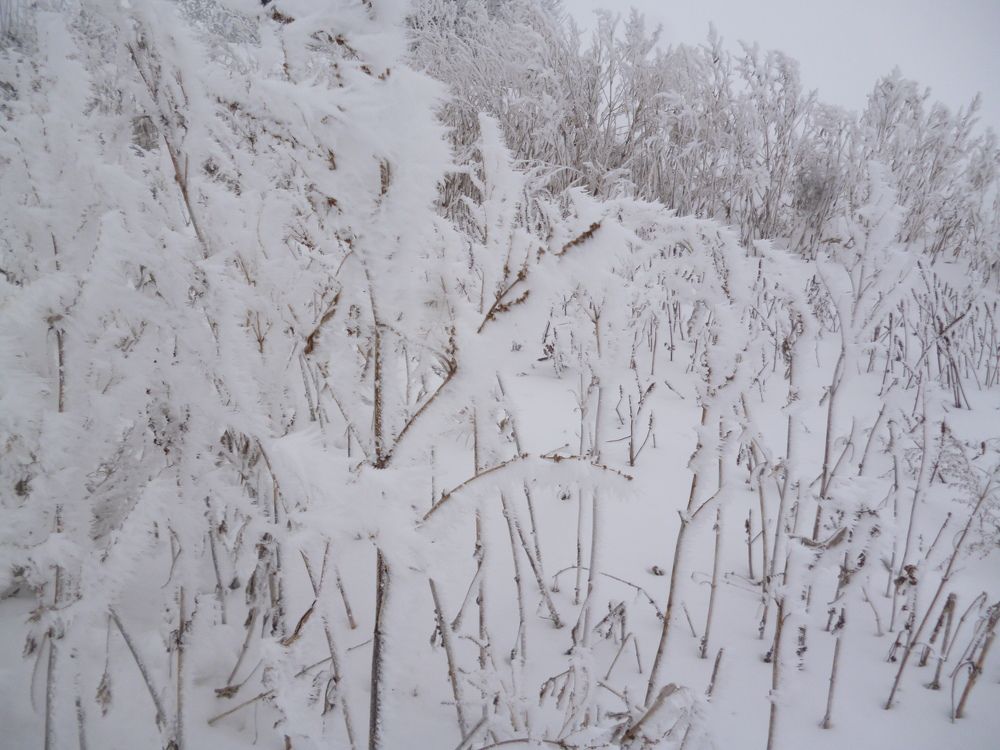 Photo #5564388