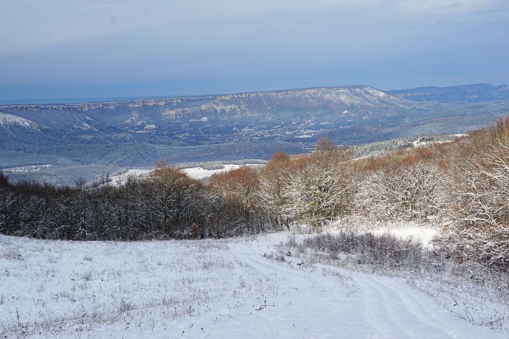 Photograph by света хлевненко